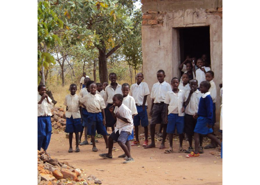 Uwezo Tanzania 2011: Reports and Financial Statements