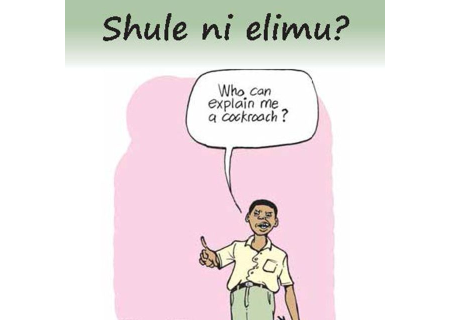 Shule si elimu