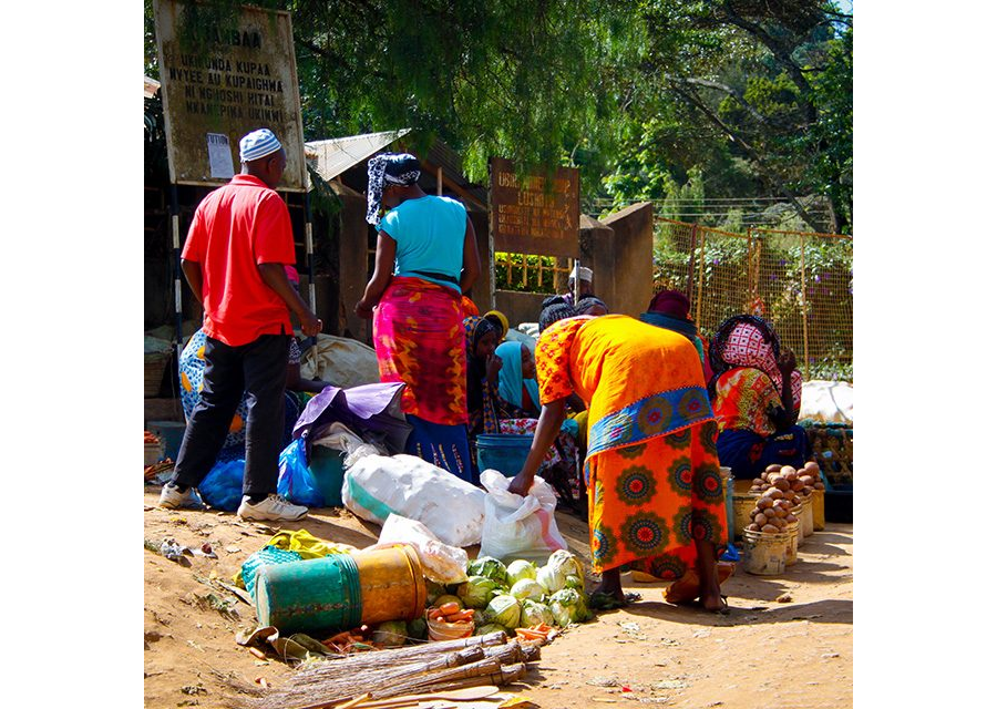 Mobile Phone Panel Surveys in Developing Countries