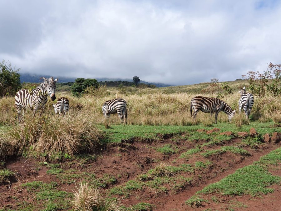 Uwezo Regional Monitoring Framework and Plan