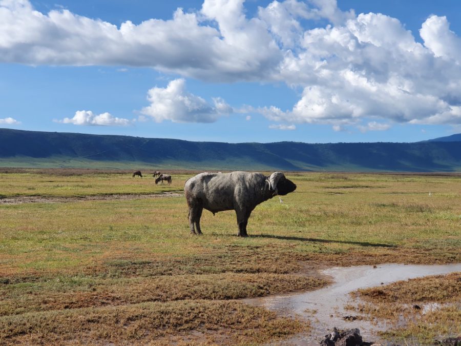 Twaweza Evaluation: Tanzania 2009 - 2014