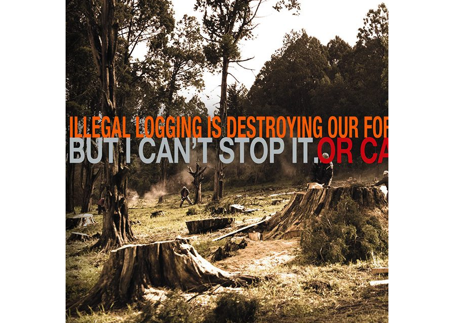 Ni Sisi - Logging