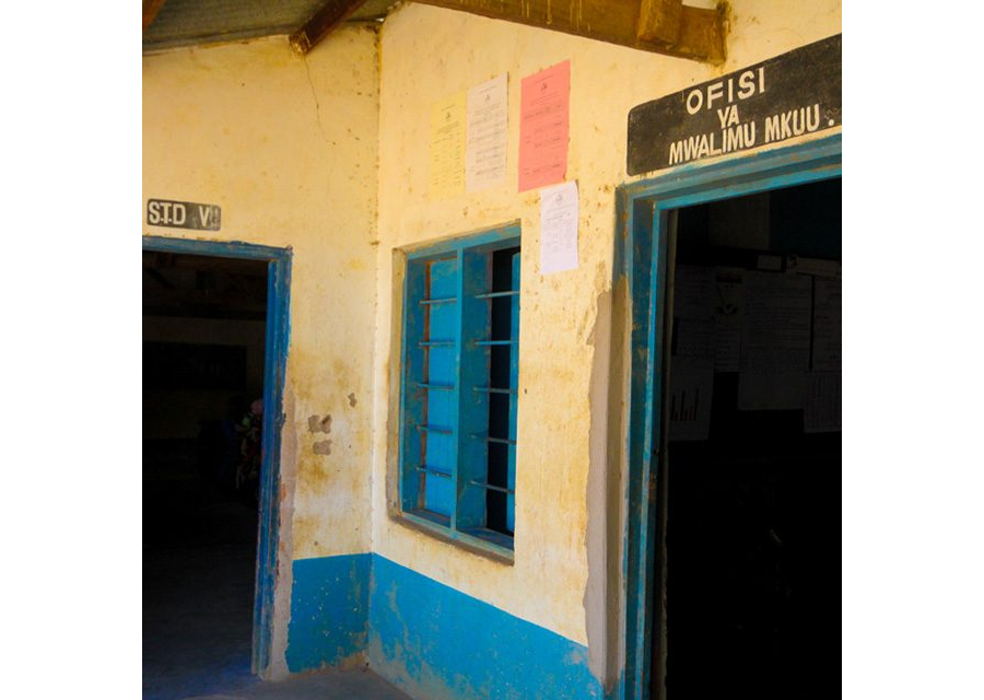 Primary schools in Dar es salaam: Overcrowded and without sufficient text books