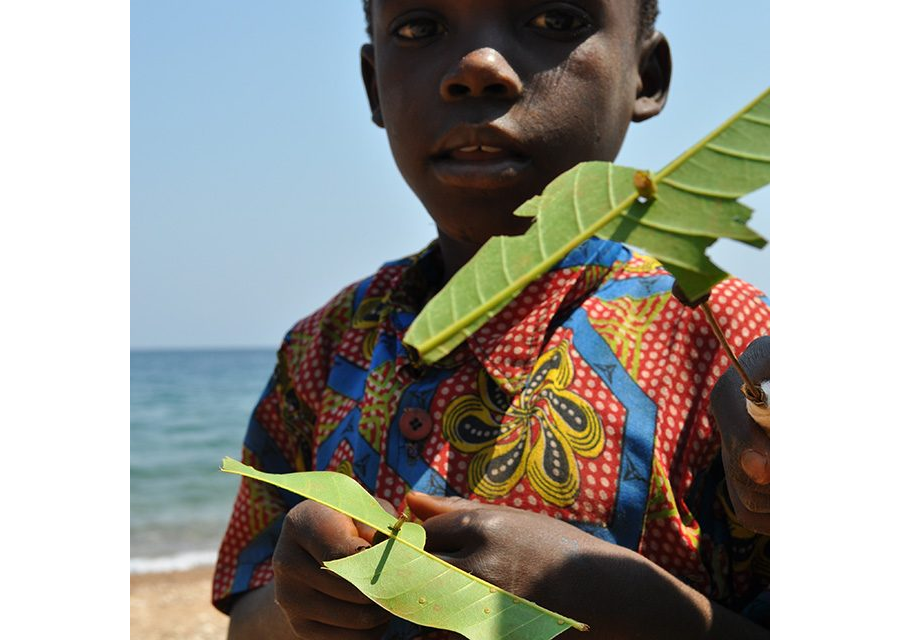 Uwezo Kenya 2014: Nationally, learning outcomes are low, 3 out of 10 in Class 3 can do Class 2 work