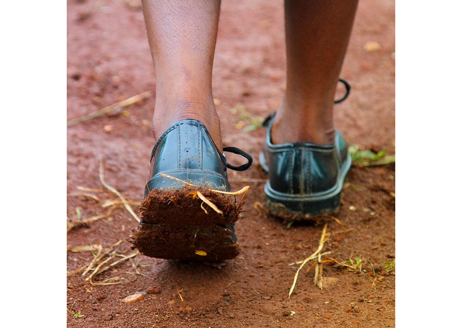 Uwezo Uganda 2019: Are Our Children Learning?