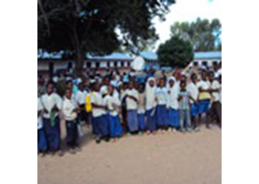Shule za Msingi mkoani Dar es Salaam